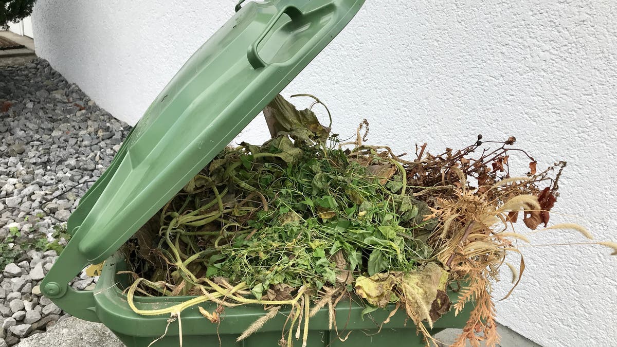 Grünabfälle und das Verursacherprinzip: Die Natur zahlt keine Rechnungen - auch in Uzwil nicht