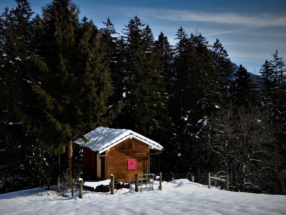Welch ein schöner «Liebesbeweis»! (Bild: Margrith Imhof-Röthlin (Grenzentürli-Weg in Meggen, 9. Februar 2019))