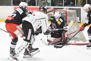 An Torhüter Bauer lag es nicht, dass die Herisauer nach Spielmitte sechs Gegentreffer kassierten. (Bild: Mea McGhee)