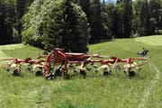Auf diese Wiese wich der Motorradfahrer aus und verunfallte. (Bild: Kapo)