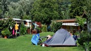 Zeltler-Idyll auf dem Campingplatz Wagenhausen (Bild: Reto Martin)