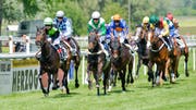 Jockeys und ihre Pferde galoppieren über den Rasen der Rennbahn Grosse Allmend. (Bild Donato Caspari)