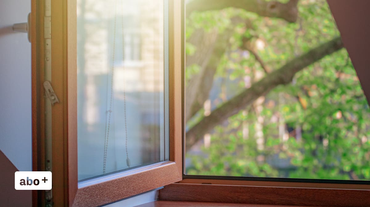 Sanierung der Fassade Fenster auch ersetzen?
