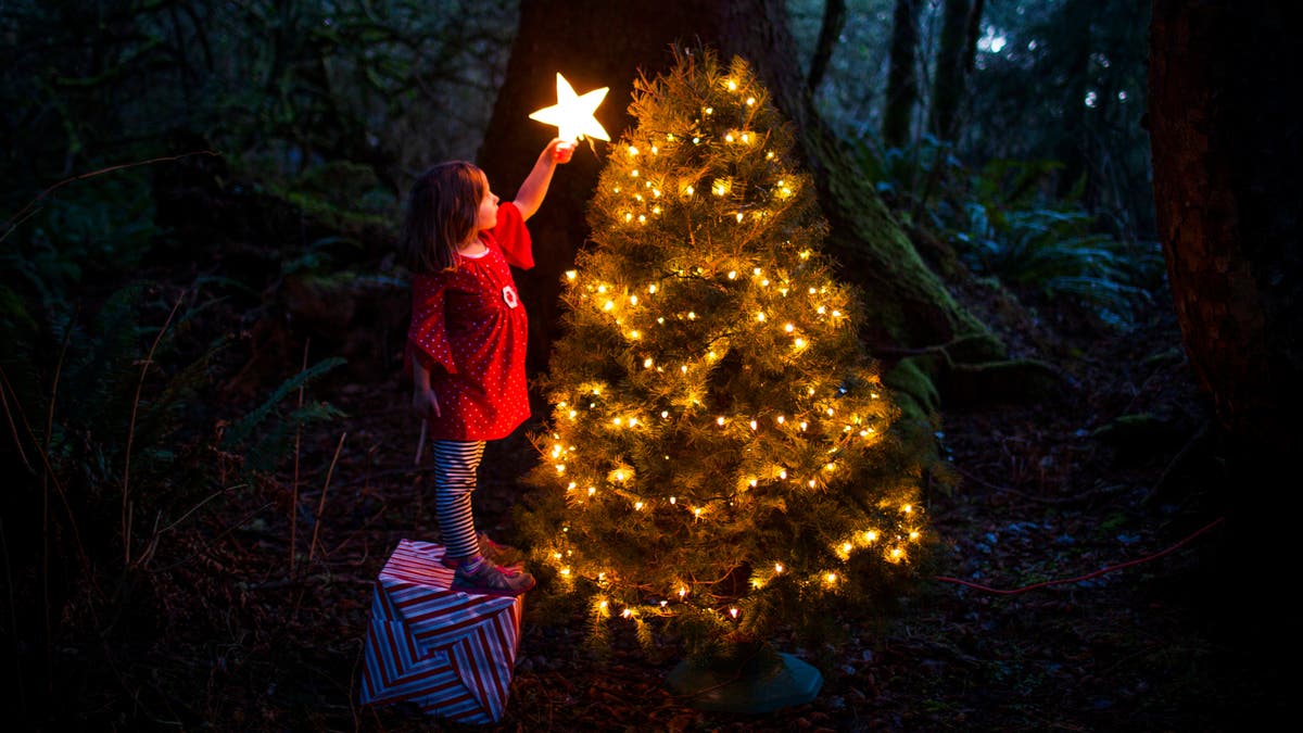 Dieses Jahr Mussen Wir Weihnachten Anders Feiern Hochste Zeit Eigentlich St Galler Tagblatt