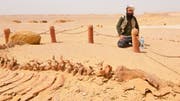 Tal der Wale (Wadi al-Hitan) in Ägypten. (Bild: Susanna Petrin)