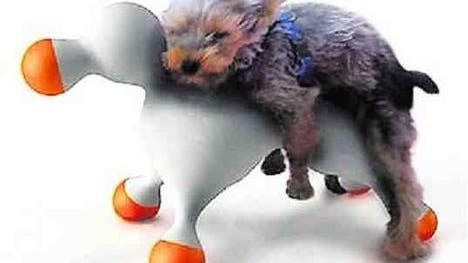 die gummipuppe fur den hund