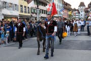 Der einjährige Siegermuni Lepo beim feierlichen Einzug ins Städtli. (Bild: PD/Flavia Aregger, Willisau 28. September 2018)