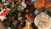 Wissenswertes über Pilze zeigt der Pilzverein Wald-Schönengrund. (Bild: PD)