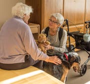 Ruth Tanner (rechts) mit Hund Chinook im evangelischen Pflegeheim Bruggen. «Er ist so ein Lieber», findet die demente Bewohnerin. (Bild: Thomas Hary, 7. November 2018)