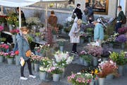 Auf dem St.Galler Samstagsmarkt: Der Stand mit den vielen Blumensträussen ist wieder da! (Bild: Reto Voneschen - 16. März 2019)