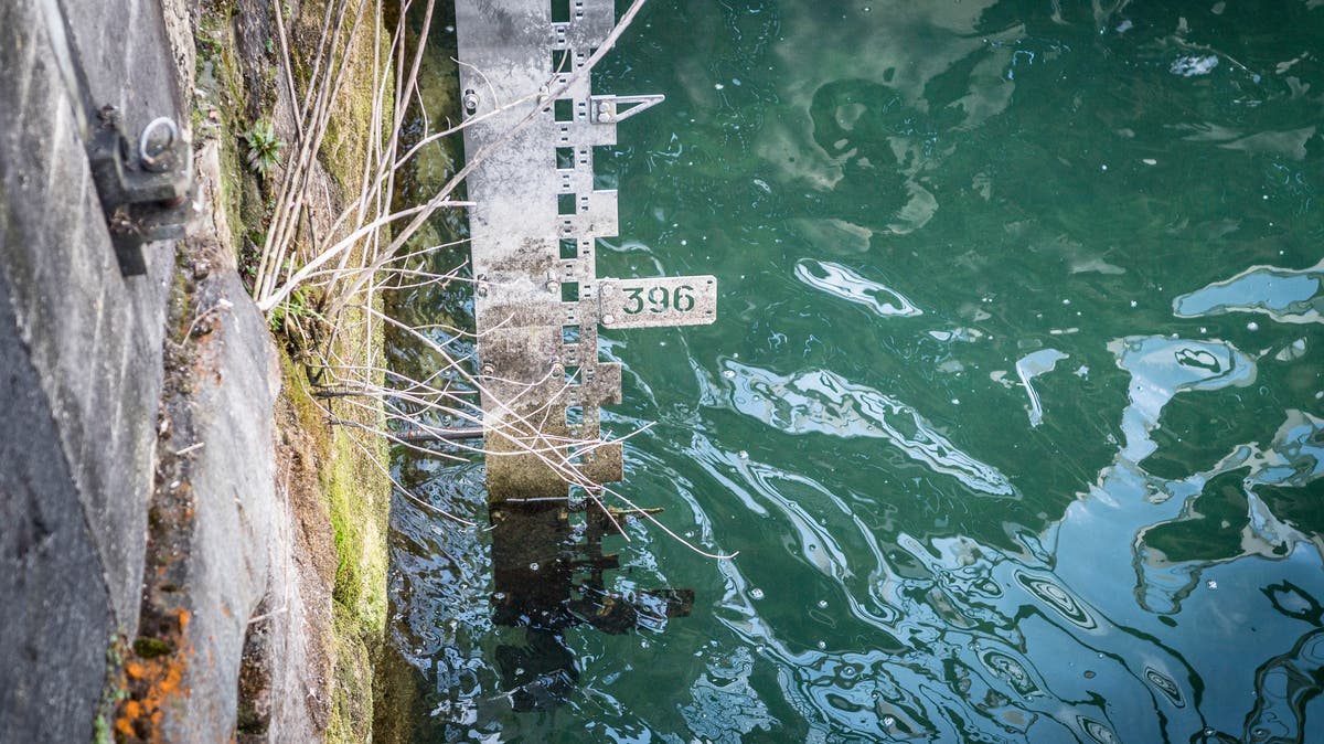 50 Zentimeter über dem Durchschnitt: Der Bodensee steht so ...