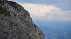 Haben immer die schwindelerregendste Aussicht am Pilatus: Steinböcke. (Bild: ar)