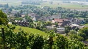 Blick aus den Iselisberger Reben auf Uesslingen. (Bild: Donato Caspari)