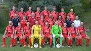 Mit dieser Mannschaft bestreitet Trainer Heris Stefanachi (zweite Reihe, Zweiter von rechts) die Saison 2018/19. (Bild: Beat Lanzendorfer)