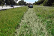 Nachdem er von der Strasse abgekommen war, rauschte ein 65-jährige Blaufahrer am Donnerstag mit seinem Auto rund 50 Meter weit über eine Wiese. (Bilder: Kantonspolizei St.Gallen - 4. Juli 2019)