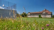 Blick von den Sportanlagen auf den Altbau der Kantonsschule Frauenfeld. (Bild: PD/Kanti Frauenfeld)