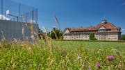 Blick vom Sportplatz auf den Frauenfelder Kantialtbau. (Bild: PD/Kantonsschule Frauenfeld)
