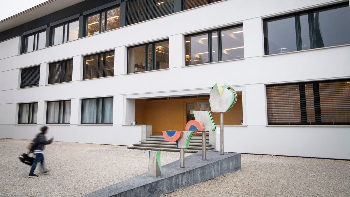 Nach Hautinfektionen am St.Galler Schulhaus Engelwies: 400 ...