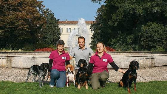 wiener hunde spuren kafer auf