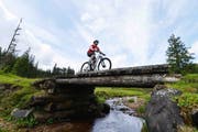 Ein Biker unterwegs im Glaubenberg-Gebiet. (Bild: Christian Perret)