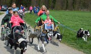 ie Kinder erfreuen sich an der rasanten Hundekutschenfahrt. (Bild: Monika Wick)