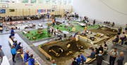 In der Turnhalle Gadretsch gab es viel Anlass zum Staunen über die Vielzahl an verschiedensten Modellen. (Bilder: Christian Imhof)