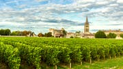 Die heile Welt trügt: Die Weinbauern im Bordeaux setzten bereits seit Jahrzehnten massiv Herbizide, Fungizide und Insektizide gegen Unkraut, Pilze und Schädlinge ein. (Bild: Getty Images)