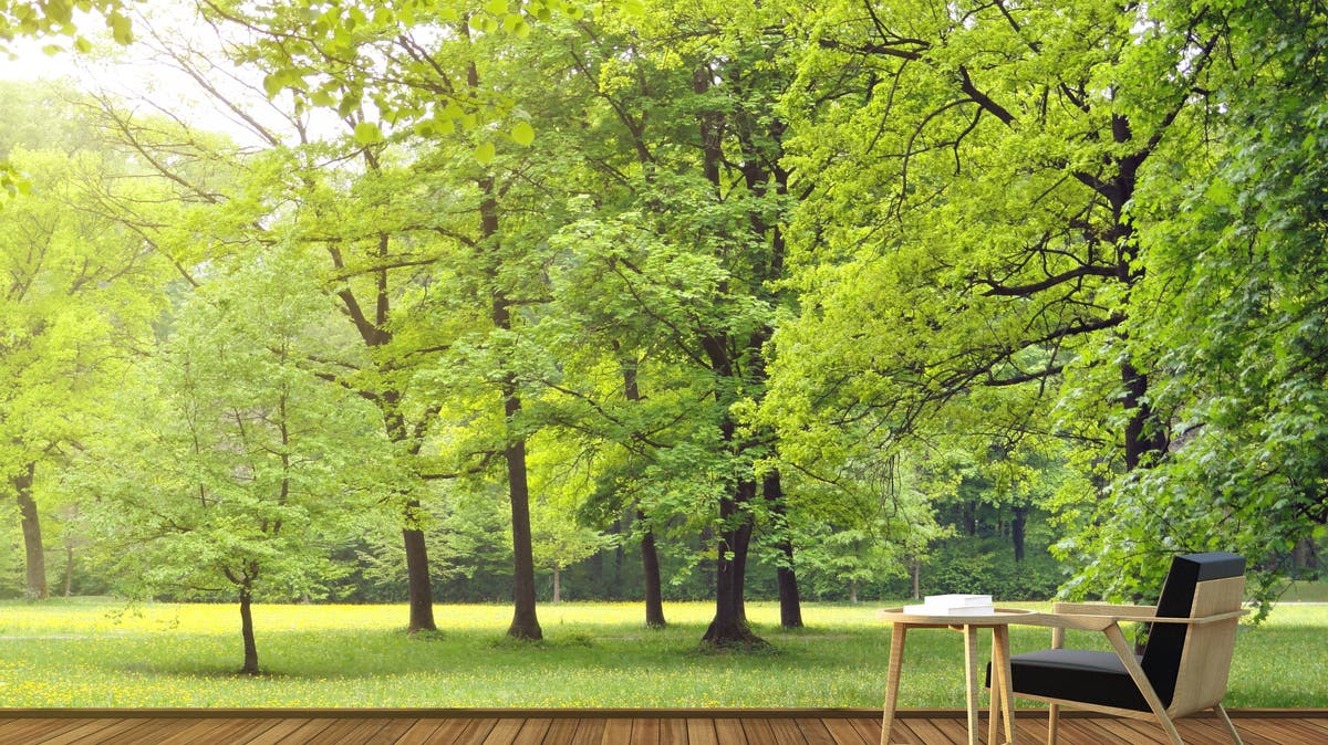 Zu Hause in der Natur So holen wir uns den Wald ins