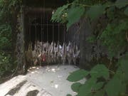 Ein Teil des Abfalls bleibt an den Stäben hängen. (Bild: Fischereiverband Kanton Luzern)