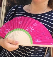 «Hitze-Give-away» Fächer der Grünen. (Bild: zvg)