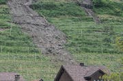 Bei massiven Murgängen, die Häuser bedrohen und Verkehrswege blockieren, kann der Regionalen Führungsstab die Einsatzkräfte unterstützen. Bild: Benjamin Manser (Wienacht-Tobel, 2003)