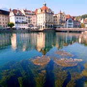 Blick auf die Luzerner Reuss. (Leserbild: Walter Buholzer, 17. Oktober 2018)