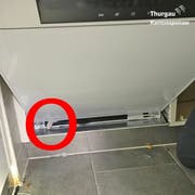 Das Büsi kroch unter den Geschirrspüler und blieb mit einem Pfötchen in der Türe stecken. (Bild: Kapo Thurgau)