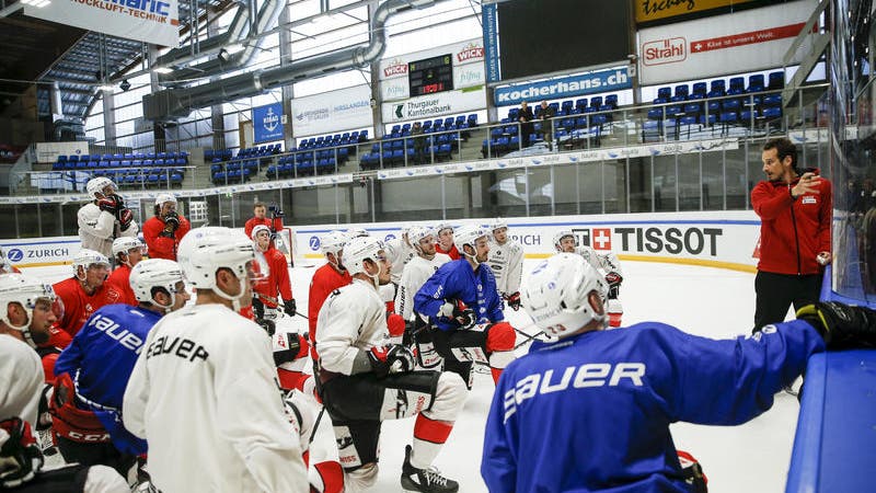 Bildstrecke - Das Kader der Schweizer Eishockey-Nationalmannschaft an der Weltmeisterschaft in ...
