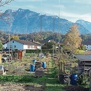 Der bestehende Garten wurde zum Teil bereits geräumt. (Bild: pd)