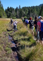 Die Schülerinnen und Schüler waten durch ein Hochmoor. (Bild: PD)