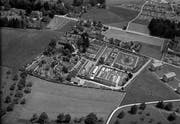 Der Botanische Garten im Stephanshorn 1958. Noch liegt er im Grünen. Hierhin dehnten sich die Wohnsiedlungen der Stadt erst in den 1960er- und 1970er-Jahren aus. Der Garten befand sich ursprünglich im Stadtpark. 1914/15 musste er im Zuge des Neubaus des Historischen und Völkerkundemuseums ins Stephanshorn verlegt werden.