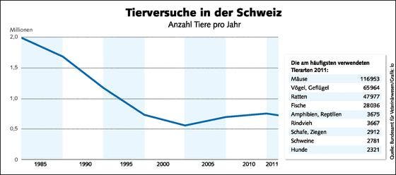 Weniger Leiden Im Labor St Galler Tagblatt