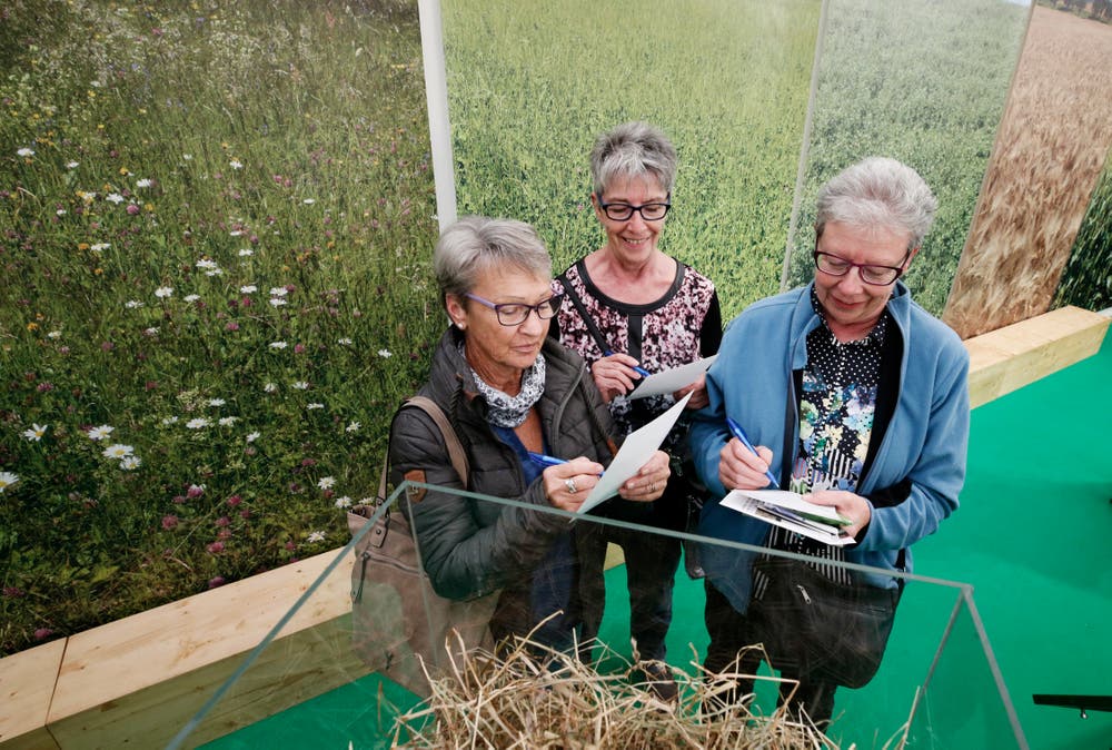 Hanni Blättler, Marlis Pellanda und Beatrice Hurni (von links) füllen einen Wettbewerb am Stand des Zuger Bauernverbands aus. (Bild: Stefan Kaiser (Zug, 23.Oktober 2018))