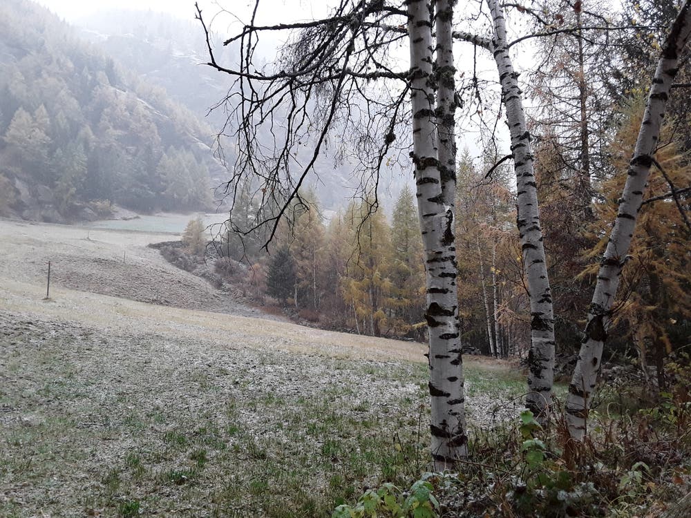 Eine dünne Schneeschicht liegt auf dem Land. Aufgenommen in Saas Balen. (Bild: Bruno Ringgenberg)