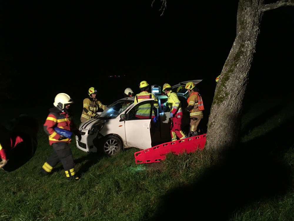 Menzingen - 14. NovemberEine Autolenkerin ist von der Strasse abgekommen und in der Wiese zum Stillstand gekommen. Sie musste von der Feuerwehr aus dem Fahrzeug geborgen werden und von der Ambulanz mit unbestimmten Verletzungen ins Spital eingeliefert werden. (Bild: Zuger Polizei)