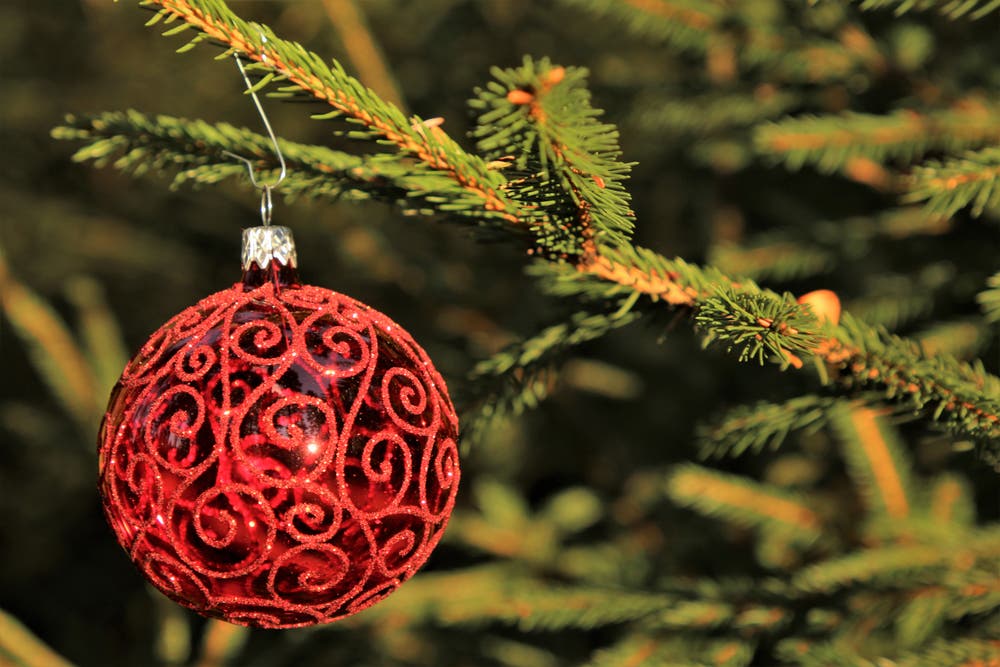 Da baumelt die Weihnachtskugel glänzend rot im Walde. (Bild: Irene Wanner (Schötz, 10. Dezember 2018))