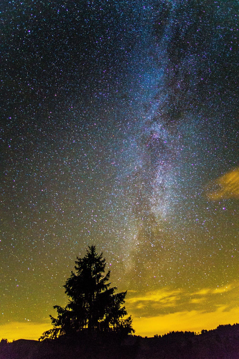 Das Hochmoor in wundervoller Farbe. (Bild: Vinzenz Blum (Oberberg bei Schüpfheim, 11. Oktober 2018))