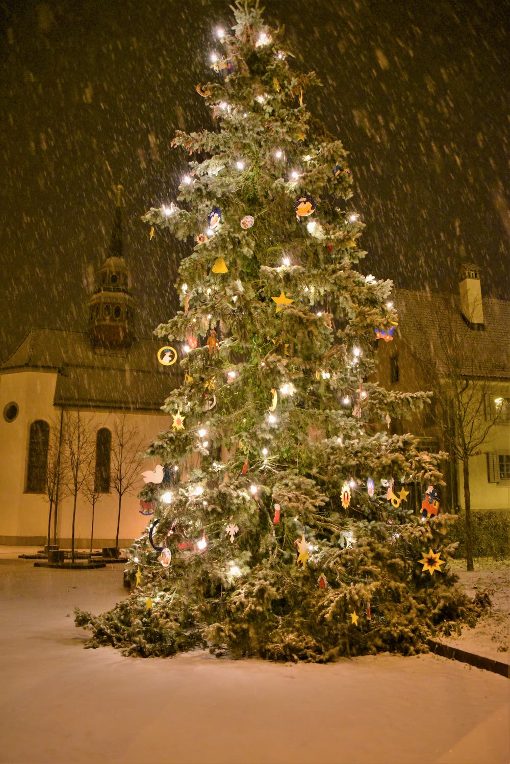 Lustgarten in Willisau. (Bild: Alfred Herzog (16. Dezember 2018))