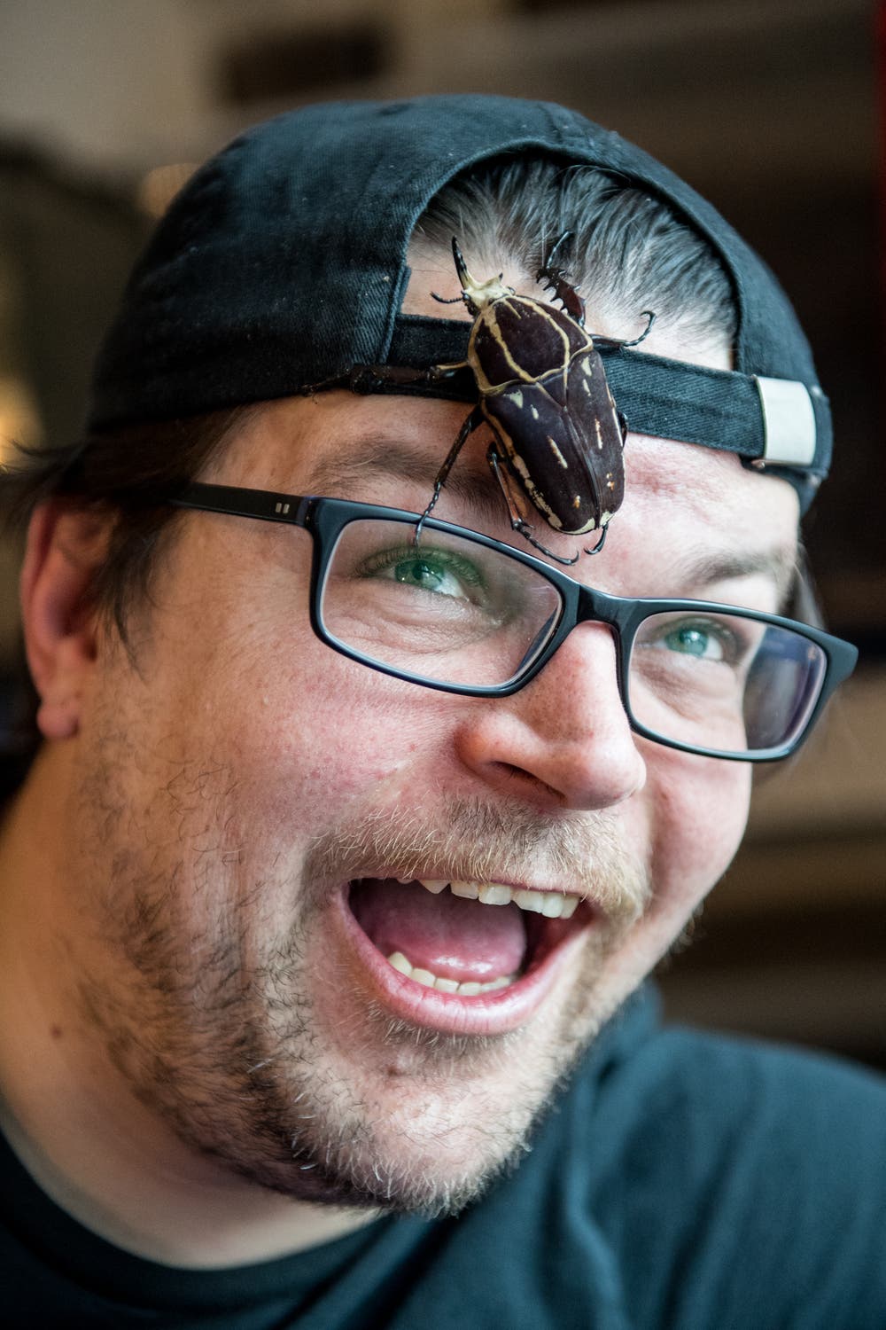«Guido Bissig züchtet in seiner Wohnung in Altdorf Nashorn-, Hirsch- und Rosenkäfer. Ich denke die Faszination für sein seltenes Hobby kommt auf dem Bild ausgezeichnet zum Ausdruck.»Bild: Boris Bürgisser, Altdorf, 20. April 2018