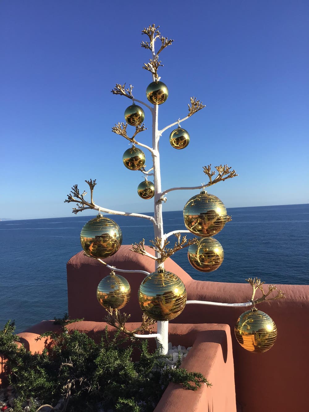 Feliz Navidad: Agave-Weihnachtsbaum, von meinem «Weihnachtsmann» gebastelt. (Bild: Hugo Graber (Torrox Costa, 20. Dezember 2018))