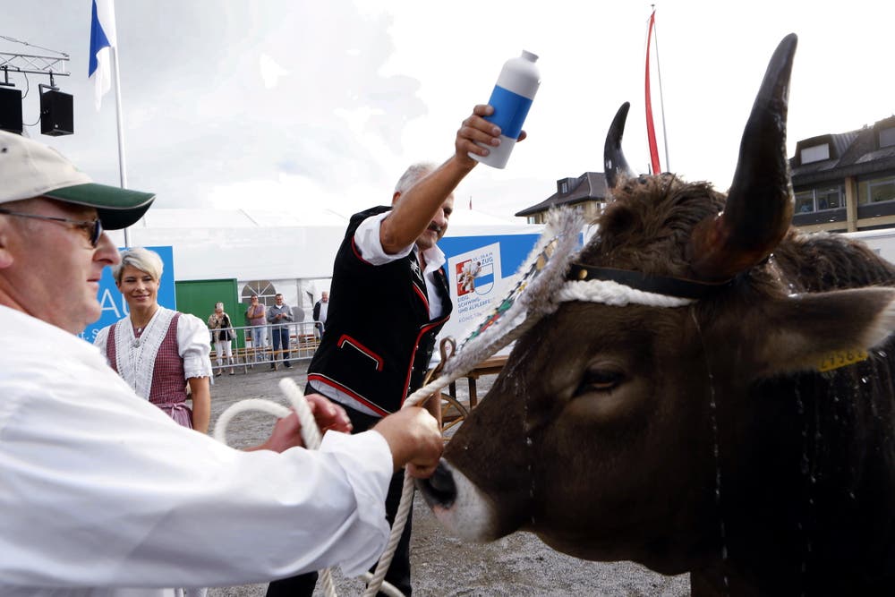 Schwingerkönig Harry Knüsel tauft den Stier für das Eidgenössische Schwing- und Älplerfest auf den Namen Kolin. Bild: Werner Schelbert, 6. September 2018