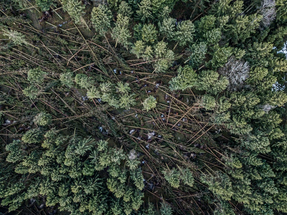 Der Wintersturm «Burglind» hat im Wald bei Lieli grossen Schaden angerichtet, wie das Bild, das mit einer Drohne aufgenommen wurde, zeigt. Bild: Pius Amrein, 8. Januar 2018