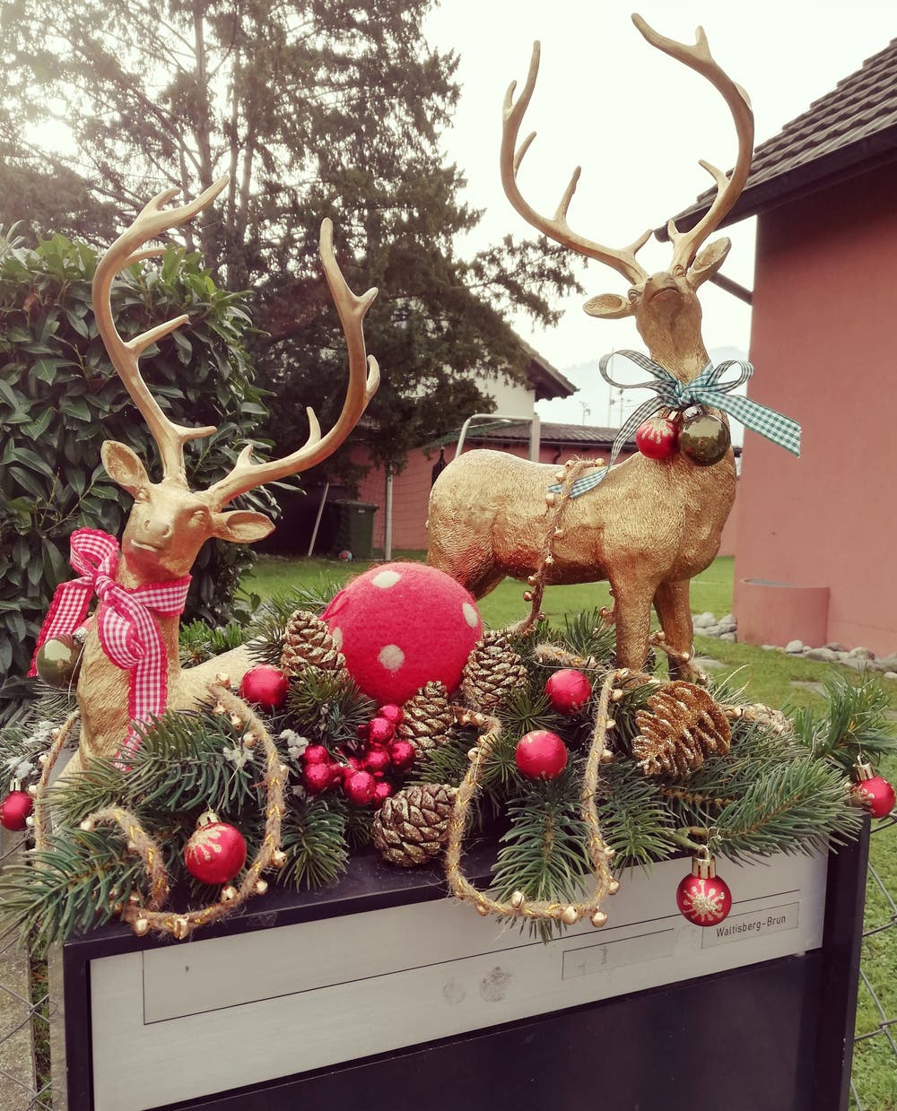 Waiting for Christmas. (Bild: Larisa Gheorghe, Horw, 3. Dezember 2018)