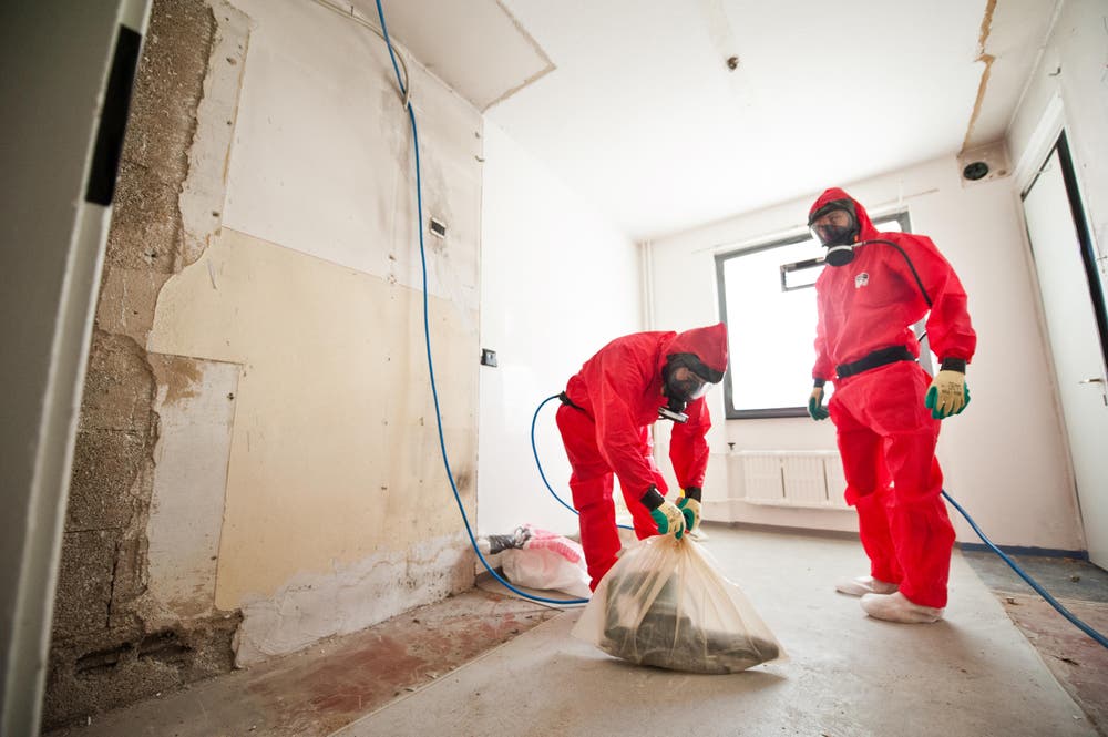 Die Spezialisten bei den heiklen Arbeiten. (Bild: Boris Bürgisser/ Neue LZ)